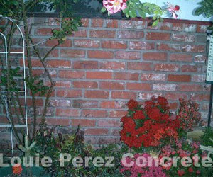 Red and Pink Flower Plants Next to a Brick Wall